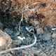 The first lead pipe is replaced in Flint. Image: Bill Pugliano/Getty Images